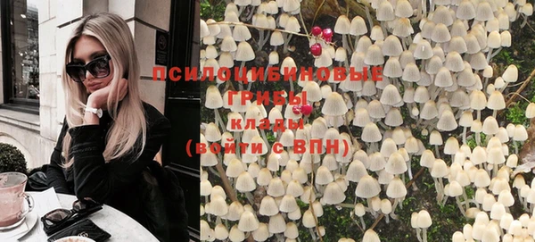 не бодяженный Белокуриха