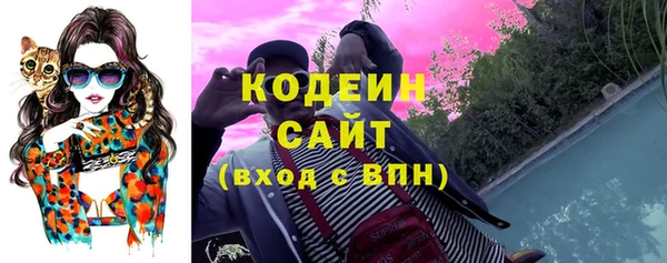 apvp Богданович