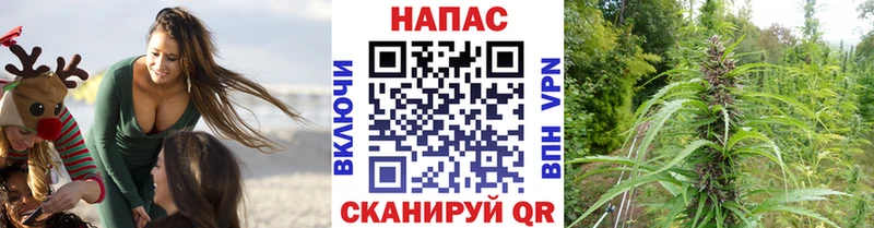 Канабис Bruce Banner omg ТОР Котельнич
